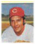 Johnny Bench