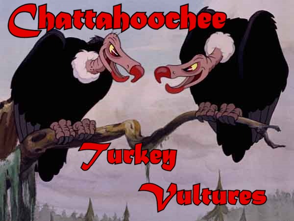 ChattahoocheeTurkeyVultures